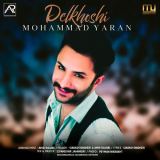 کاور آهنگ دلخوشی