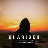کاور آهنگ غریبه