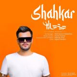 کاور آهنگ شاهکار
