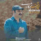 کاور آهنگ این عشقه