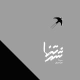 کاور آهنگ شهر تنها