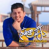 کاور آهنگ دلتنگ میشم