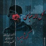کاور آهنگ گل لاله عباسی