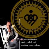 کاور آهنگ عقاب زرد