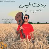 کاور آهنگ زیبای طبیعی