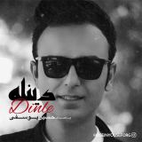 کاور آهنگ دینله