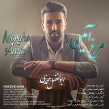 کاور آهنگ مرغ امین