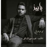 کاور آهنگ پاییز