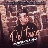 کاور آهنگ دلتنگ