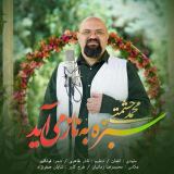 کاور آهنگ سبزه به ناز می آید