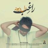 کاور آهنگ دل دیونه