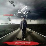 کاور آهنگ پرنده زخمی