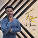 کاور آهنگ سیلوم کو