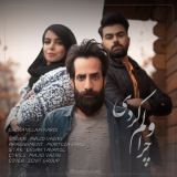 کاور آهنگ چرا ولم کردی