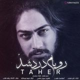 کاور آهنگ رویام درد شد