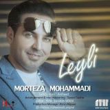 کاور آهنگ لیلی