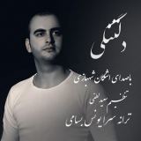 کاور آهنگ دلتنگی