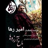 کاور آهنگ باغ آرزوها