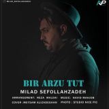 کاور آهنگ بیر آرزو توت