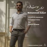 کاور آهنگ دوست دارم