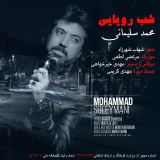 کاور آهنگ شب رویایی