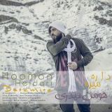 کاور آهنگ داره میره