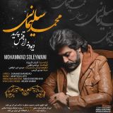 کاور آهنگ دیوونه از قفس پرید