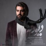 کاور آهنگ دیوونه