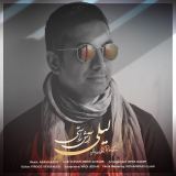 کاور آهنگ لیلی