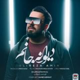 کاور آهنگ دیوانه جانم