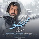 کاور آهنگ مرد برفی