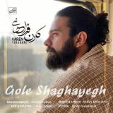 کاور آهنگ گل شقایق