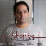 کاور آهنگ غریبه