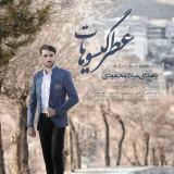کاور آهنگ عطر گیسوهات