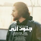 کاور آهنگ جنون آنی