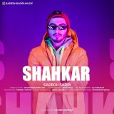 کاور آهنگ شاهکار