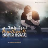 کاور آهنگ نمیتونستی