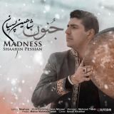 کاور آهنگ جنون