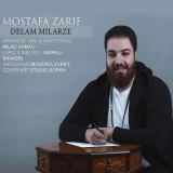 کاور آهنگ دلم میلرزه