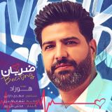 کاور آهنگ ضربان