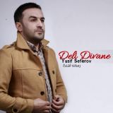 کاور آهنگ دلی دیوانه