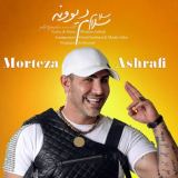 کاور آهنگ سلام سلام دیوونه