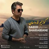کاور آهنگ گوزلیم هارداسان