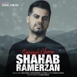 کاور آهنگ دروغ چرا