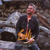 کاور آهنگ لیلی