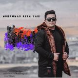 کاور آهنگ همه رویام شدی