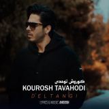 کاور آهنگ دلتنگی