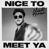 کاور آهنگ Nice To Meet Ya