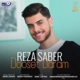 کاور آهنگ دوست دارم