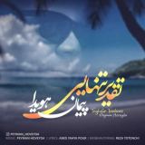 کاور آهنگ تقدیر تنهایی